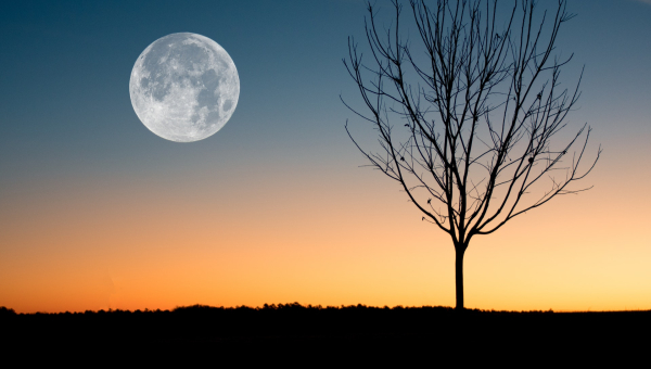 October Full Moon Meditation